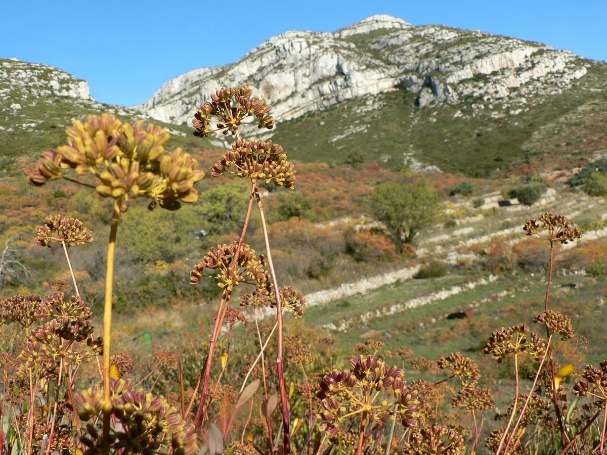 Contact Hotel Marseille Aubagne La Penne-sur-Huveaune Eksteriør bilde